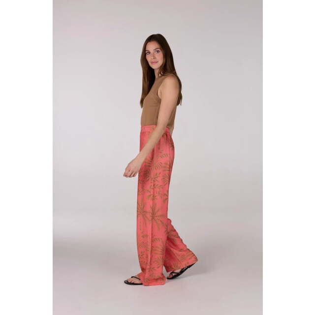 Jansen Amsterdam Farisha top k 302 tobacco K302 large