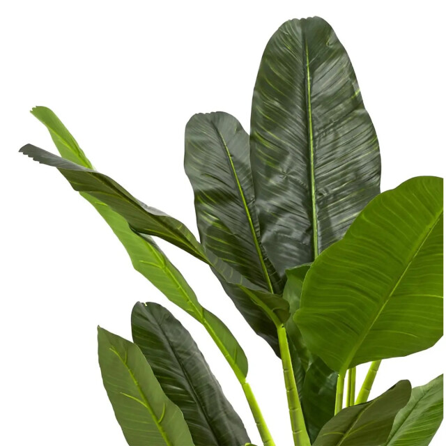 WDMT Kunststof bananenplant groot ø 45 x 160 cm groen 3192504 large