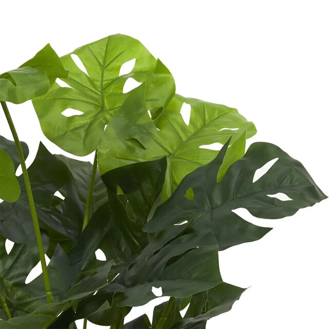 WDMT Kunststof gatenplant ø 16,5 x 70 cm groen 3192510 large