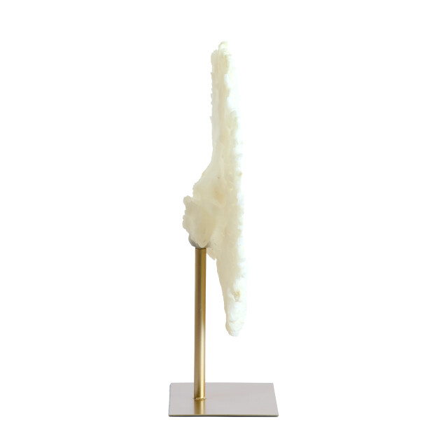 Light & Living ornament coral 46x20x69cm - 3184615 large