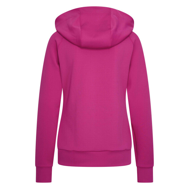 Imperial Hoodie irhsporty sparks KL34124000_3615 large