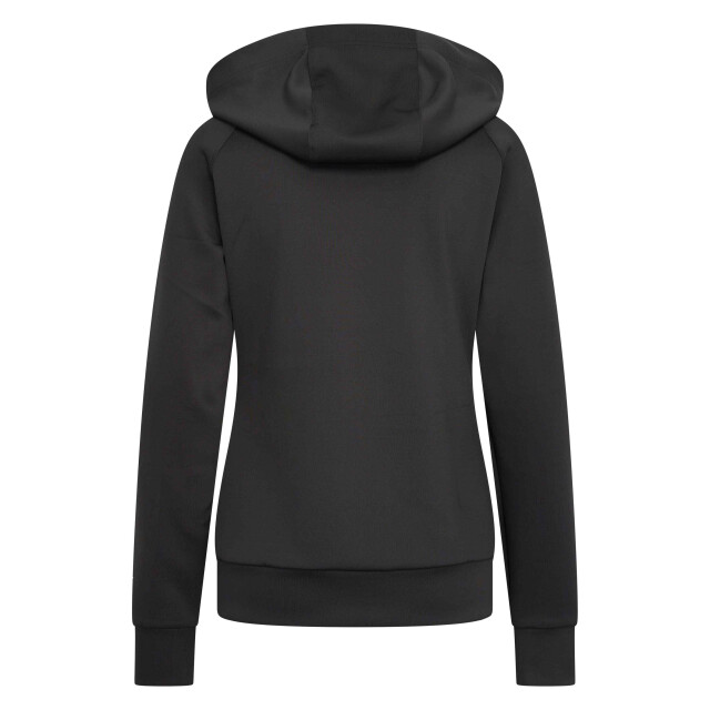 Imperial Hoodie irhsporty sparks KL34124000_7060 large