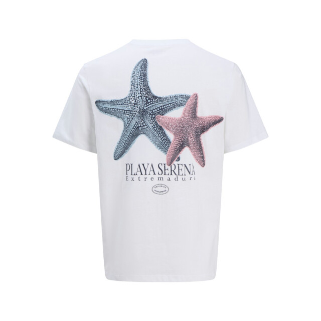 Jack & Jones Jorcanggu illu tee ss crew neck - 5339.01.0018 large