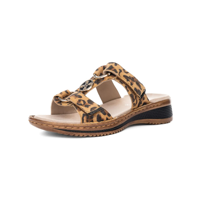 Ara 1229003 hawaii leo 3033 1229003 large