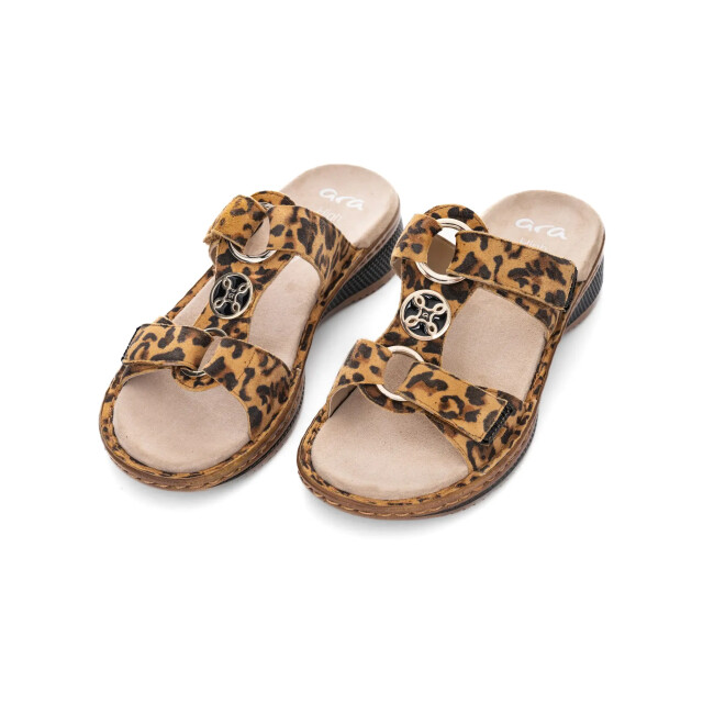 Ara 1229003 hawaii leo 3033 1229003 large