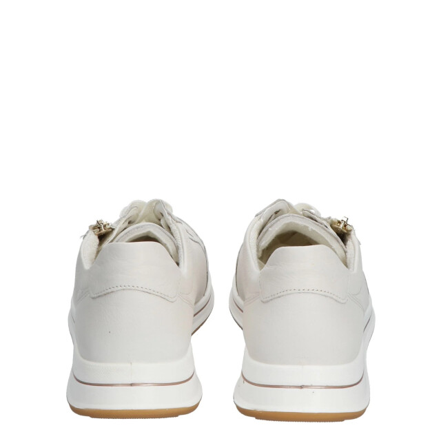 Ara 12-24801 osaka h-wijdte cream 2110 12-24801 large