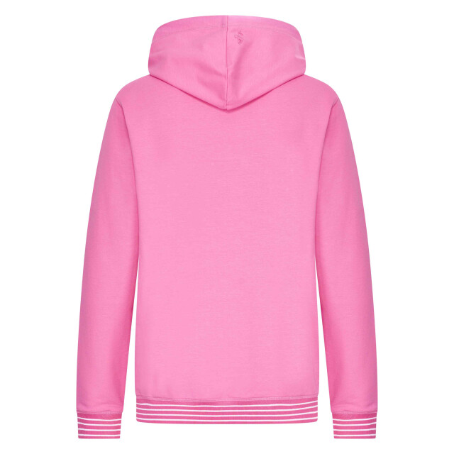 HV Society Hoodie hvskimora 0401103610_3008 large