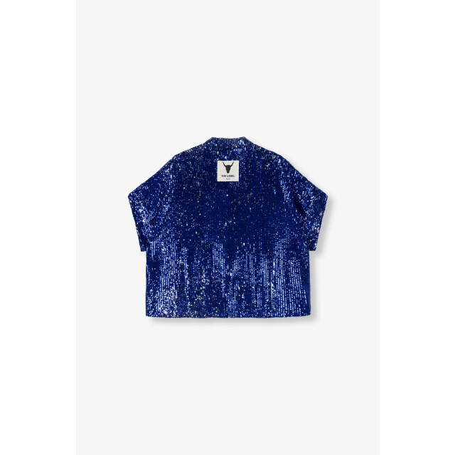 Alix The Label 2504982279 sequins top 2504982279 sequins top large