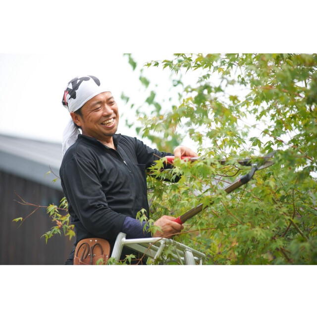 Niwaki Driepoot tuinladder 300 cm snoeiladder tripod ladder plukladder nw03000 3049056 large