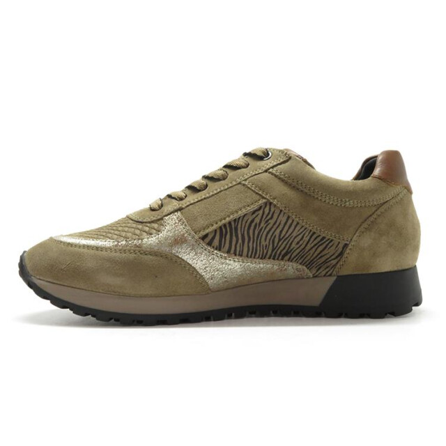 Helioform 293.003 293.003 large