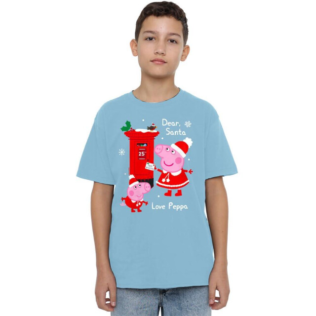 Peppa Pig Kinder/kinder brief aan de kerstman peppa en george t-shirt UTTV5028_skyblue large