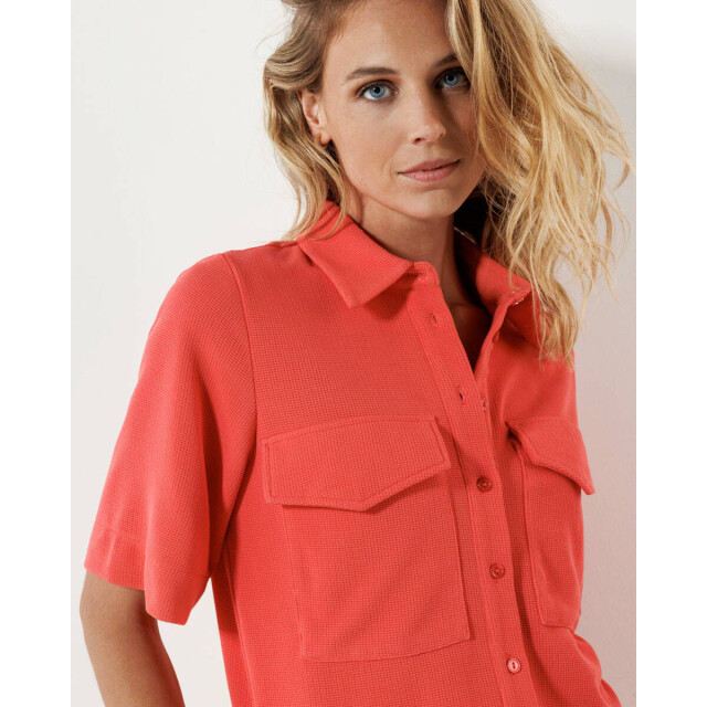 Tramontana Blouse korte mouw c14-16-301 Tramontana Blouse korte mouw C14-16-301 large
