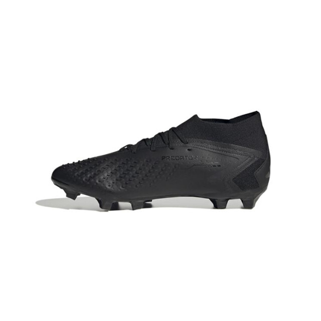 Adidas Predator accuracy.2 fg,cblack/cblac GW4588 large
