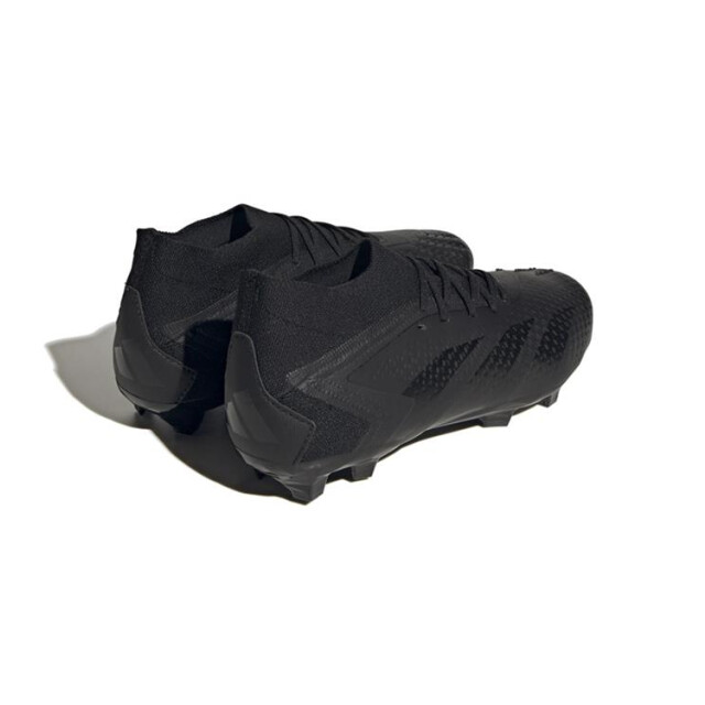 Adidas Predator accuracy.2 fg,cblack/cblac GW4588 large
