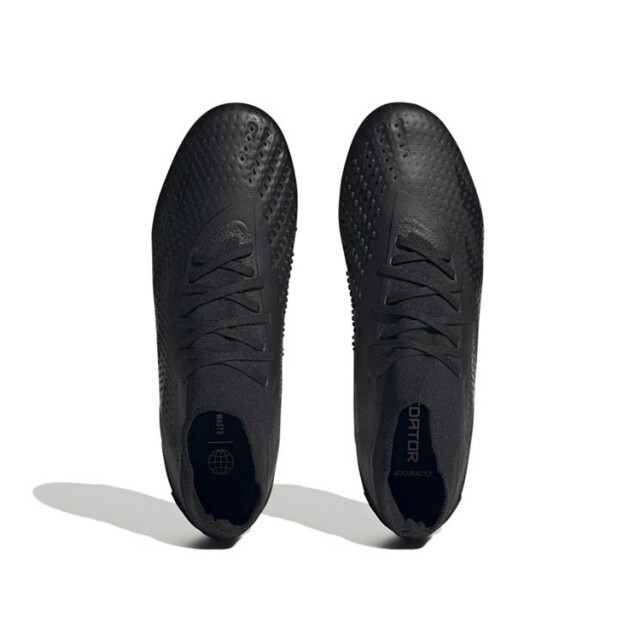 Adidas Predator accuracy.2 fg,cblack/cblac GW4588 large