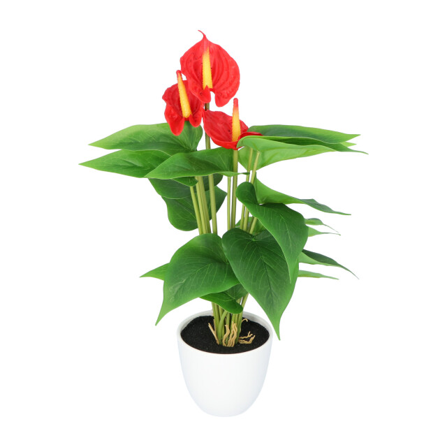 Kopu ® 2 stuks anthurium kunstplant 40 cm 3 bloemen flamingoplant 2612746 large