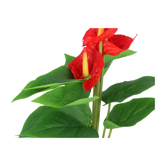 Kopu ® 2 stuks anthurium kunstplant 40 cm 3 bloemen flamingoplant 2612746 large