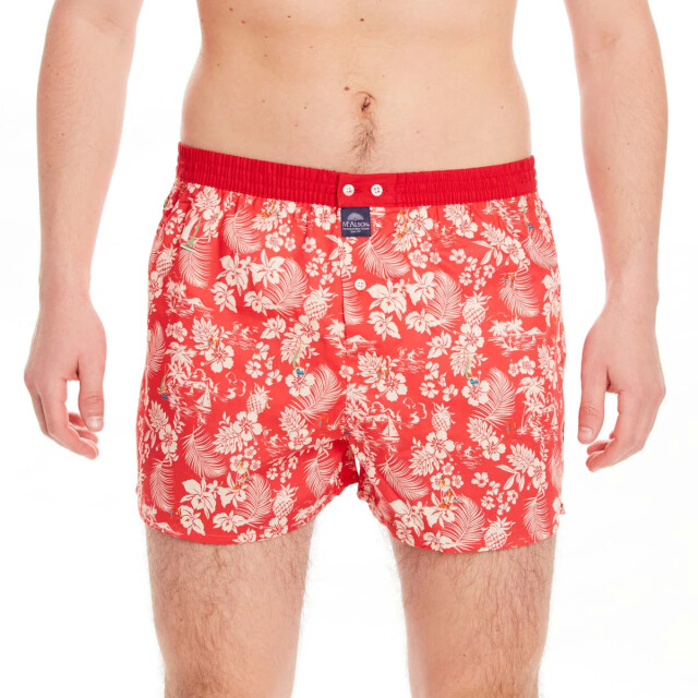 Mc Alson Hawaiian red M4546 large