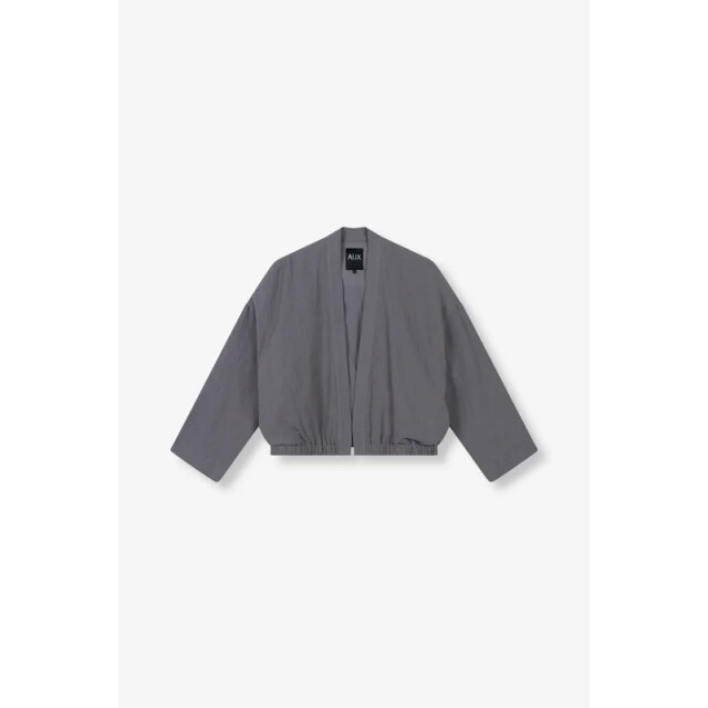 Alix The Label Crinkle blazer - Crinkle blazer - Alix The Label large