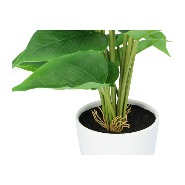 Kopu ® 2 stuks anthurium kunstplant 40 cm 3 bloemen flamingoplant 2612746 large