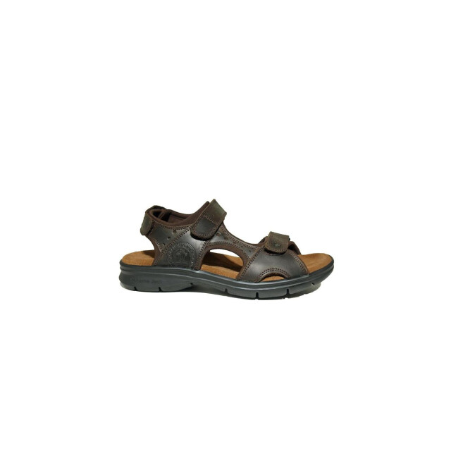 Panama Jack Salton Basic Sandalen Bruin Salton Basic large