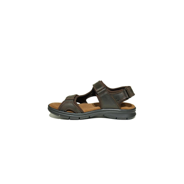 Panama Jack Salton Basic Sandalen Bruin Salton Basic large