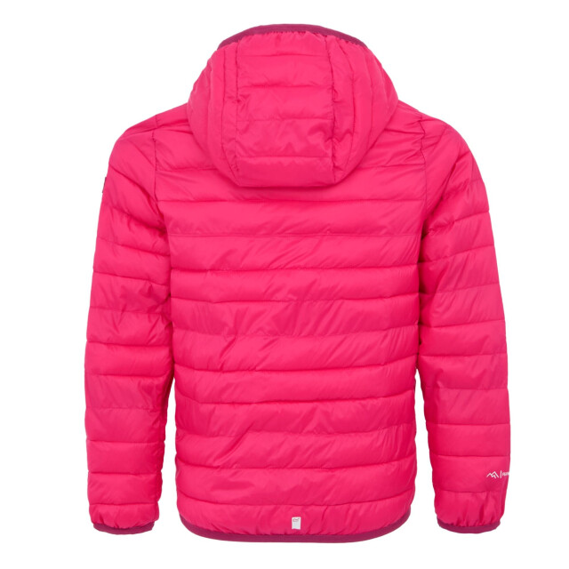 Regatta Childrens/kids hillpack iii hooded jacket UTRG11885_pop large