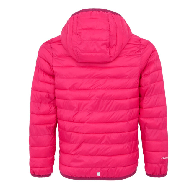 Regatta Childrens/kids hillpack iii hooded jacket UTRG11885_pop large
