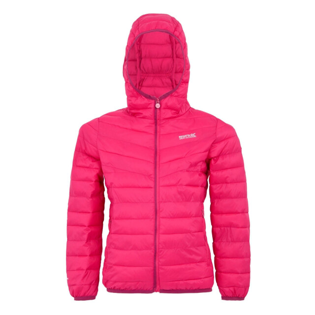 Regatta Childrens/kids hillpack iii hooded jacket UTRG11885_pop large