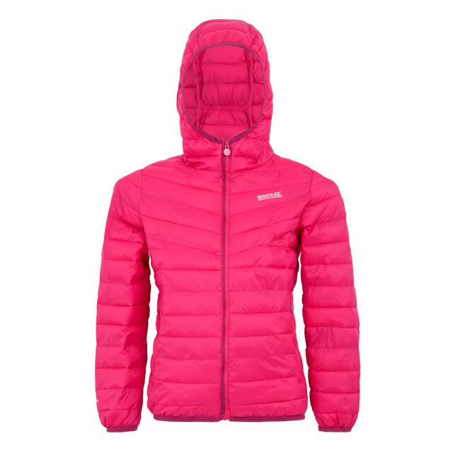 Regatta Childrens/kids hillpack iii hooded jacket UTRG11885_pop large