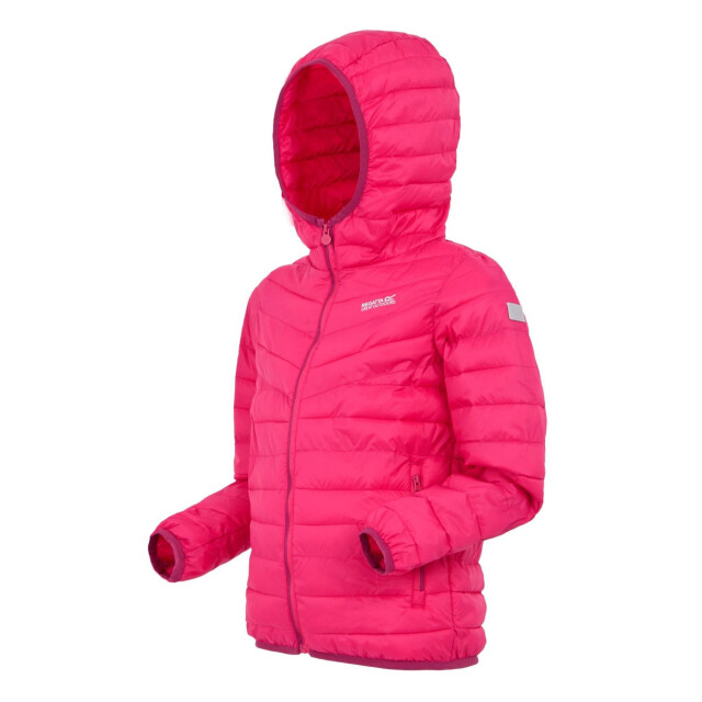 Regatta Childrens/kids hillpack iii hooded jacket UTRG11885_pop large