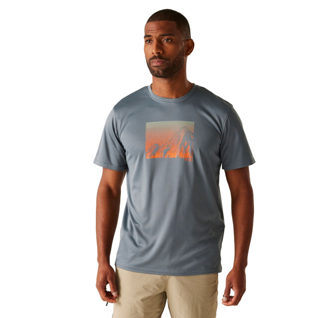 Regatta Heren fingal ix berg t-shirt UTRG11923_stormyweather large