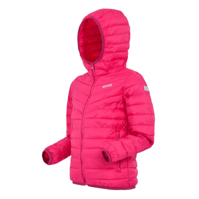 Regatta Childrens/kids hillpack iii hooded jacket UTRG11885_pop large