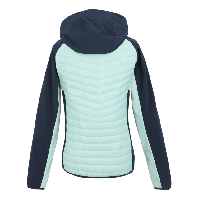 Regatta Dames pro hybrid ii gewatteerd jack UTRG11793_navyicymorn large