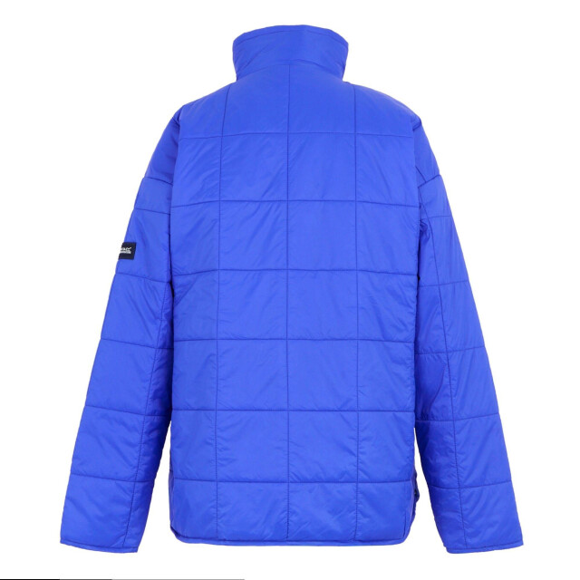 Regatta Dames courcelle ii gewatteerde jas UTRG11765_brightestblue large