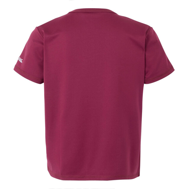 Regatta Kinderen/kinderen alvarado ix aarde t-shirt UTRG11704_beaujolais large