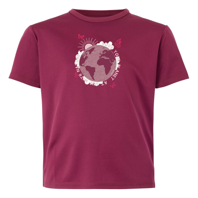 Regatta Kinderen/kinderen alvarado ix aarde t-shirt UTRG11704_beaujolais large