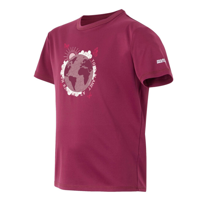 Regatta Kinderen/kinderen alvarado ix aarde t-shirt UTRG11704_beaujolais large