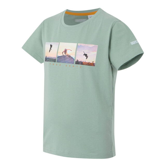 Regatta Kinderen/kinderen bosley viii grafisch t-shirt UTRG11649_glacier large