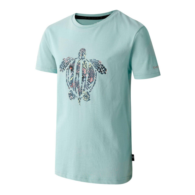 Dare2b Kinderen trailblazer ii schildpad t-shirt UTRG11646_aquifer large