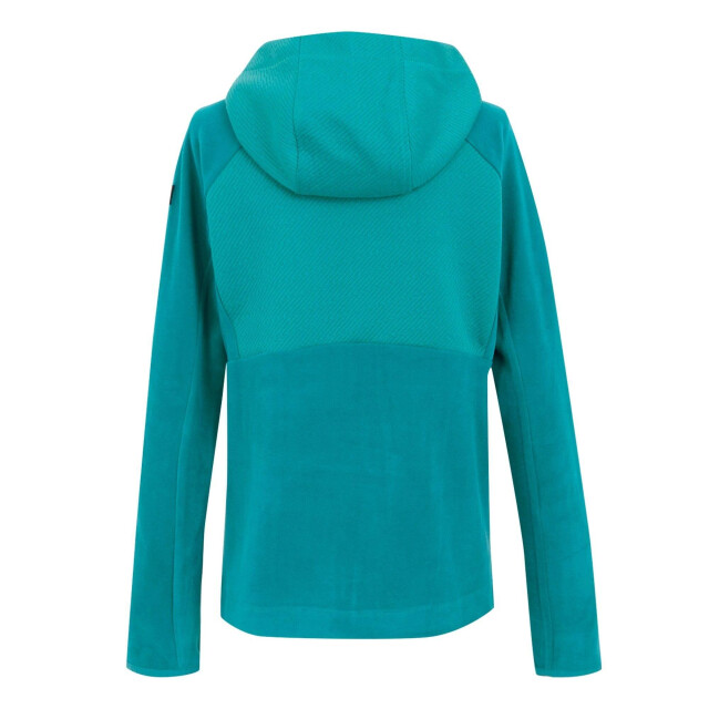 Regatta Dames vatana full zip fleecejack UTRG11679_exoticplume large