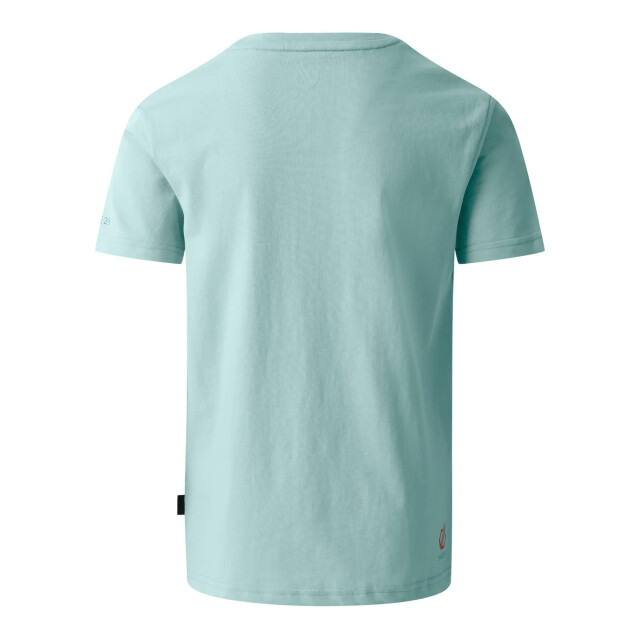 Dare2b Kinderen trailblazer ii schildpad t-shirt UTRG11646_aquifer large