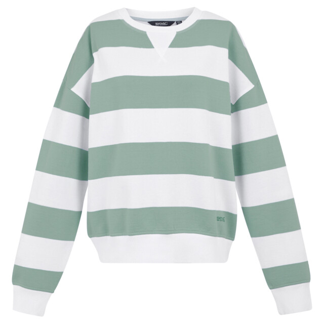 Regatta Dames avika ii stripe crew neck trui UTRG11593_glacierwhite large