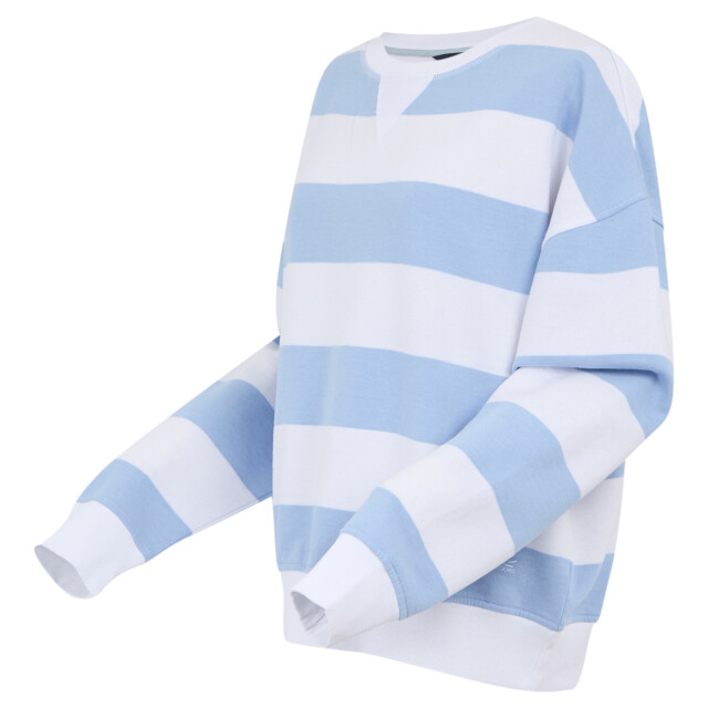Regatta Dames avika ii stripe crew neck trui UTRG11593_chambraybluewhite large