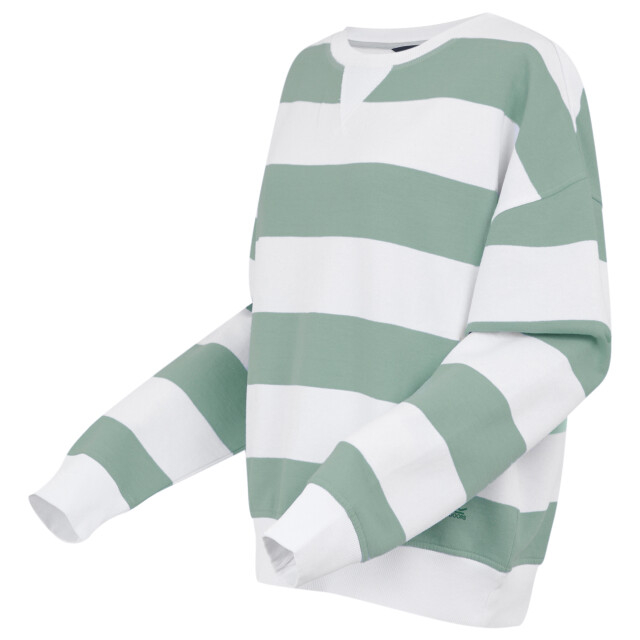 Regatta Dames avika ii stripe crew neck trui UTRG11593_glacierwhite large