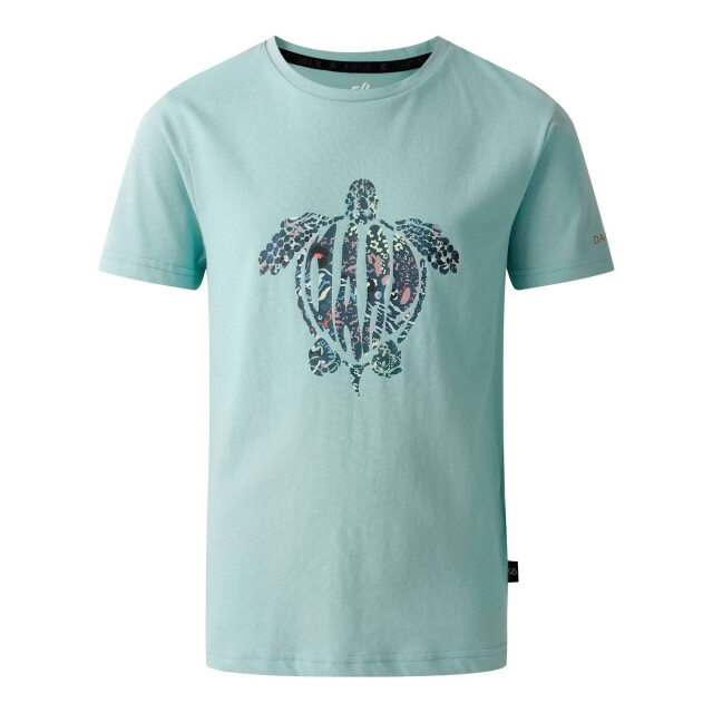 Dare2b Kinderen trailblazer ii schildpad t-shirt UTRG11646_aquifer large