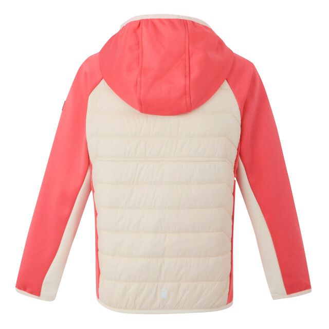 Regatta Kinder/kids kielder ix hybride jas UTRG11559_lightvanillapeachbloom large