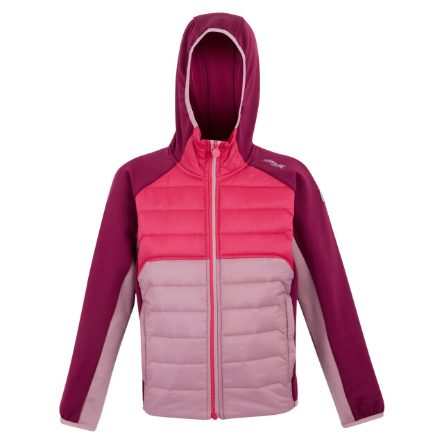 Regatta Kinder/kids kielder ix hybride jas UTRG11564_lilaspopbeaujolais large