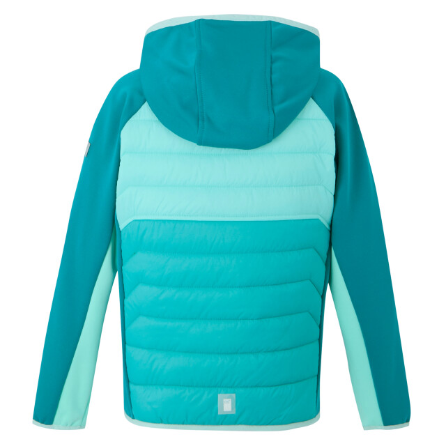 Regatta Kinder/kids kielder ix hybride jas UTRG11564_turquoisearubablueexoticplume large