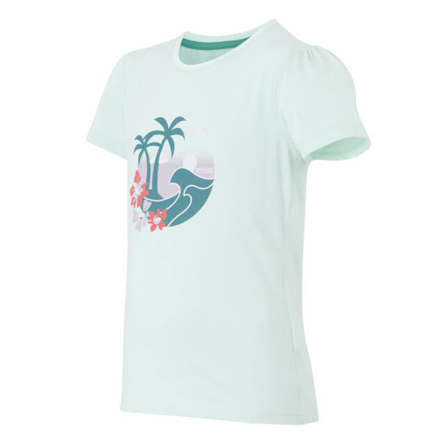 Regatta Kinderen/kinderen bosley viii palmboom t-shirt UTRG11528_icymorn large